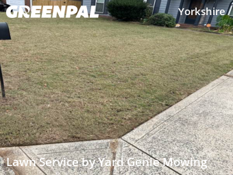 Grass Cut nearby Charlotte, NC, 