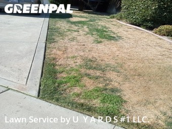 Lawn Service nearby Modesto, CA, 