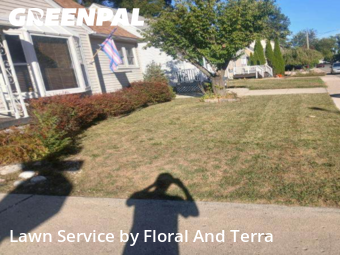 Lawn Cut nearby Ferndale, MI, 