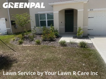 Lawn Cut nearby Davenport, FL, 
