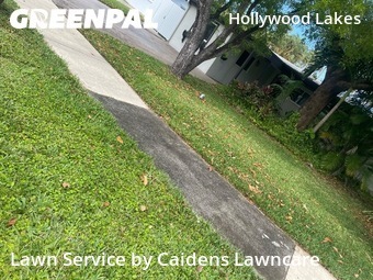 Lawn Mowing Servicein Hollywood,33019,Lawn Cut by Caidens Lawncare , work completed in Jun , 2026