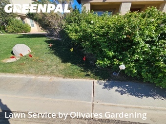 Lawn Cut nearby Lancaster, CA, 