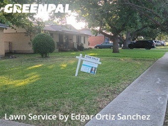 Lawn Cuttingin Richardson,75080,Yard Mowing by Edgar Ortiz Sanchez, work completed in Jun , 2026