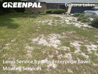 Lawn Cut nearby Deltona, FL, 