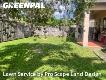 Lawn Cut nearby Davie, FL, 