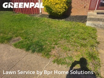 Grass Cut nearby Woodbridge, VA, 