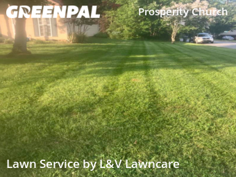 Lawn Mowing Service nearby Charlotte, NC, 