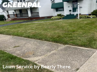 Grass Cutting nearby Garfield Heights, OH, 