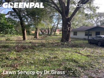Lawn Maintenance nearby Tampa, FL, 