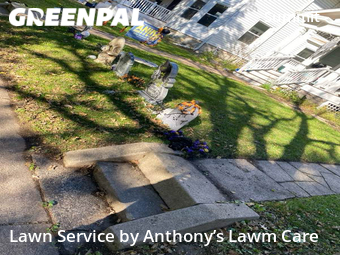 Grass Cut nearby Saint Paul, MN, 