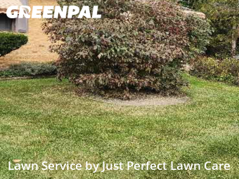 Yard Mowing nearby Berea, OH, 