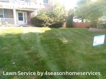 Lawn Care Service nearby Bolingbrook, IL, 
