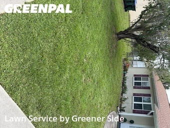 Grass Cut nearby North Port, FL, 