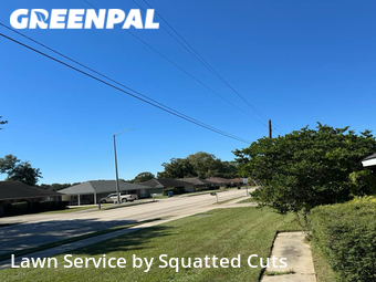 Grass Cutting nearby Lafayette, LA, 