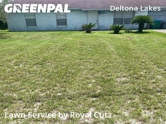 Lawn Mow nearby Deltona, FL, 