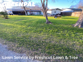 Lawn Care nearby New Braunfels, TX, 