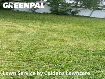 Lawn mowed in Golden Glades, 33168