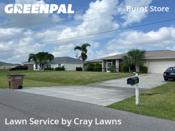 Lawn Cut nearby Cape Coral, FL, 