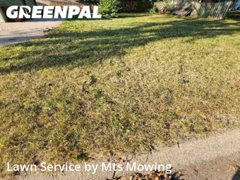 Yard Grooming in Belvidere, 61008, Grass Services by Mts Mowing , work completed in Nov , 2025