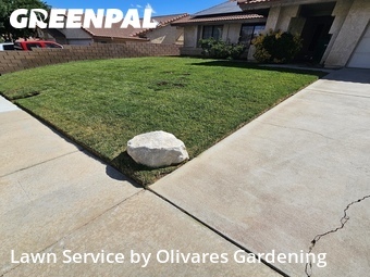 Yard Mowing nearby Palmdale, CA, 