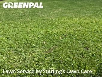 Lawn Mowing nearby Orange Park, FL, 