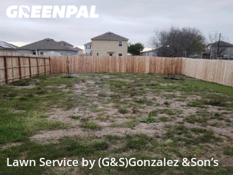 Lawn Care nearby San Antonio, TX, 