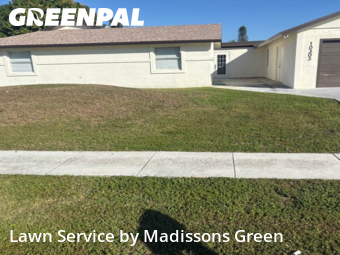 Lawn mowed in Royal Palm Beach, 33411