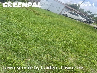 Lawn Cut nearby Hollywood, FL, 