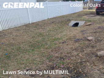 Lawn Servicein Tampa,33611,Lawn Care Service by MULTIMIL , work completed in Dec , 2025