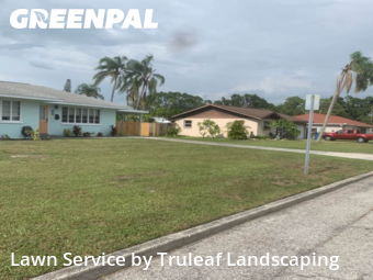 Grass Cut nearby Bradenton, FL, 