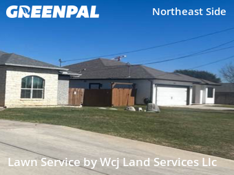 Lawn mowed in Selma, 78154