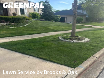 Lawn Care Service nearby Woodridge, IL, 