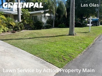 Grass Cutting nearby Fort Lauderdale, FL, 