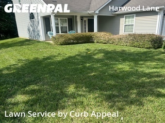 Lawn Cutin Charlotte,28214,Lawn Care Service by Curb Appeal, work completed in Jun , 2026