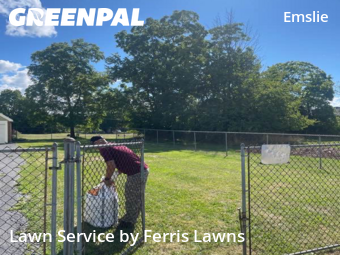 Lawn Mow nearby Buffalo, NY, 