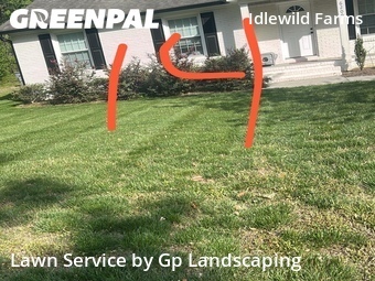 Lawn Care Service nearby Charlotte, NC, 