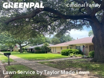 Landscaping Installation Irving,75062,Landscaping Maintenance by Taylor Made Lawn , work completed in Jun , 2026