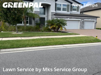 Lawn Mowing Servicein Tampa,33647,Lawn Cut by Mks Service Group, work completed in Nov , 2025
