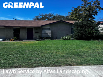 Grass Cuttingin Lewisville,75067,Grass Cut by Alfas Landscaping, work completed in Dec , 2025