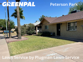 Modern Landscaping In Tempe,85282,Landscaping Cleanup by Plugman Lawn Service, work completed in Jun , 2026