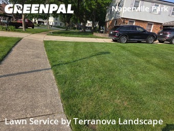 Lawn Cut nearby Naperville, IL, 