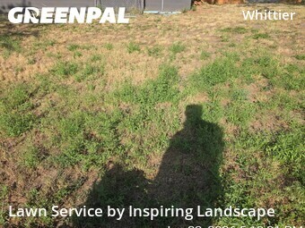 Yard Cutting nearby Denver, CO, 