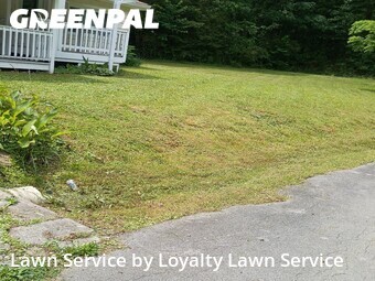 Lawn Care nearby La Fayette, TN, 