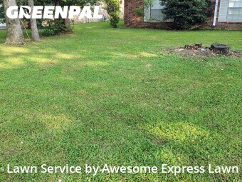 Lawn mowed in Pine Bluff, 71603