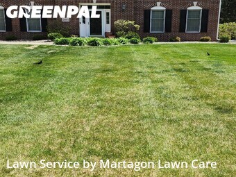 Lawn mowed in Woodbury, 55125