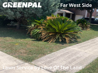 Lawn Care Service nearby San Antonio, TX, 