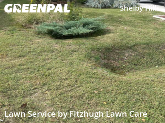 Grass Cut nearby Nashville, TN, 