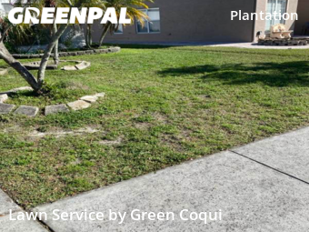 Lawn Mow nearby Tampa, FL, 