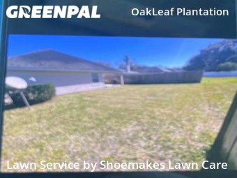 Lawn Cut nearby Orange Park, TN, 