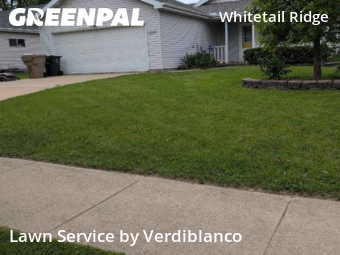Lawn Maintenance nearby Madison, WI, 